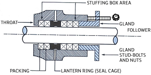 Figure 1. Packing in a stuffing box (Graphics courtesy of FSA)