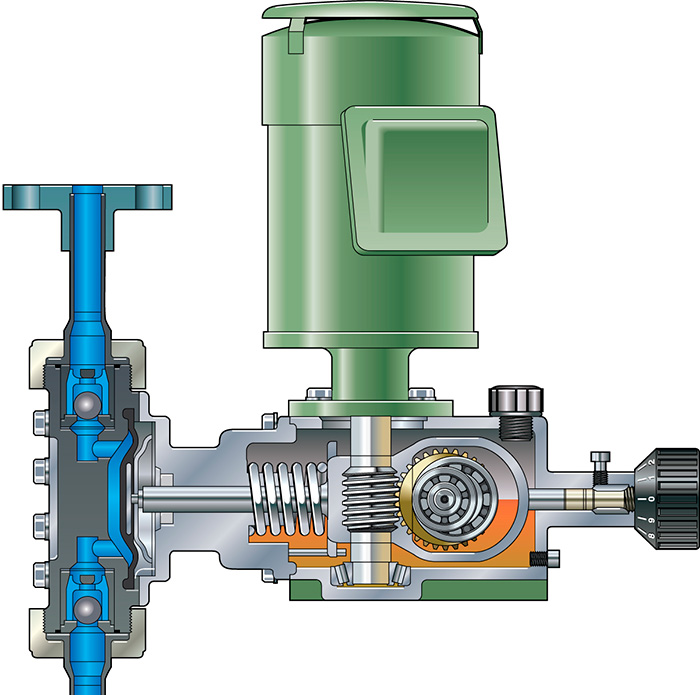 Cross-section of mechanical metering pump wet end
