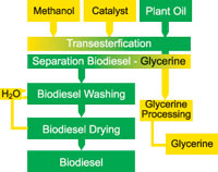 Figure 3. The Biodiesel Production Process