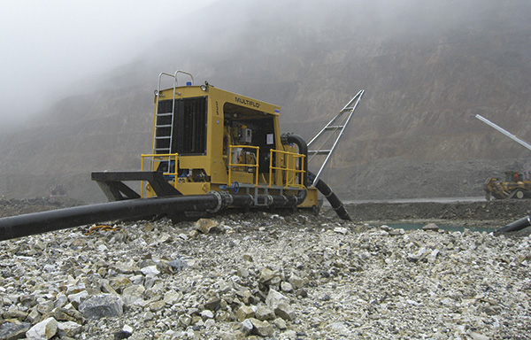 Skid-mounted dewatering system