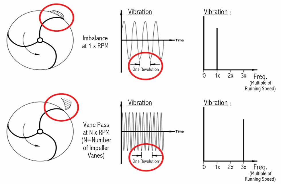 image 1 forced fibration