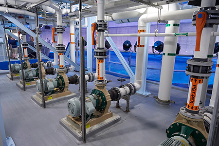 Pumps help the aquarium move hundreds of thousands of gallons of water daily.