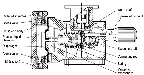 Mechanically coupled disc diaphragm