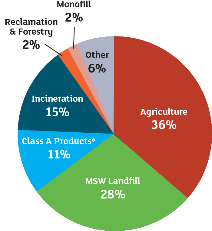 pie chart