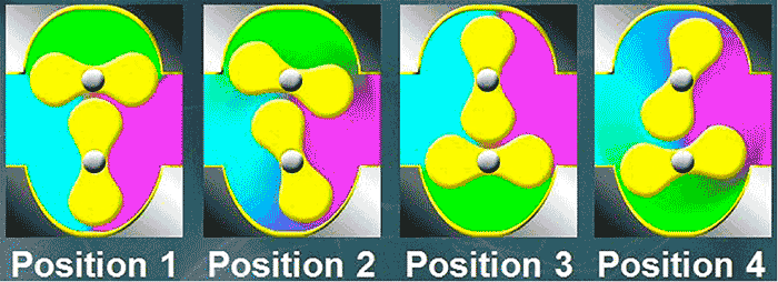 image 1 four lobes