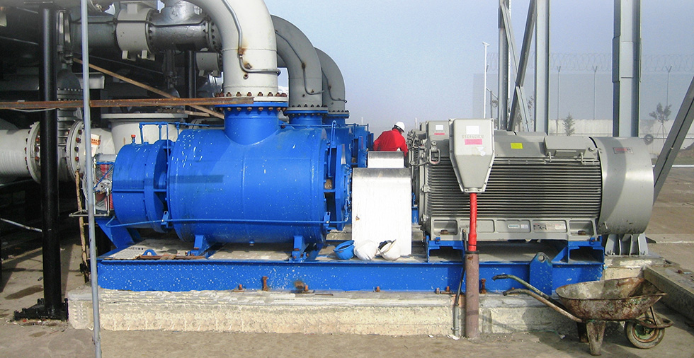 rotary pumps