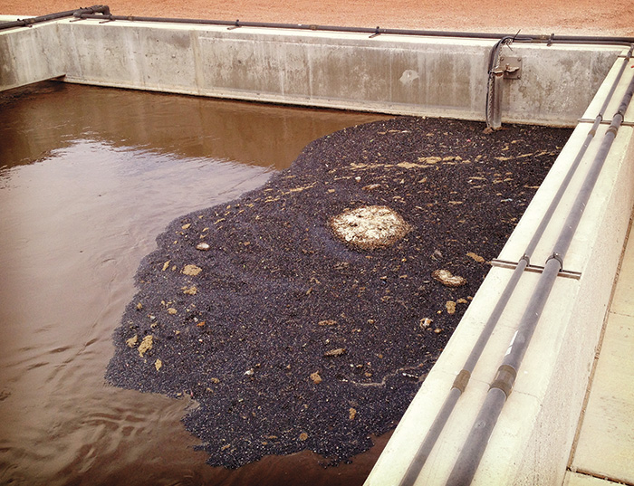 A sludge tank for biological treatment contains disposals that should not be found in this step of the sewage-treatment process.