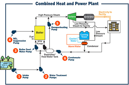 Water travels through a plant repeatedly during the power generation process.