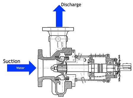 cross-sectional drawing