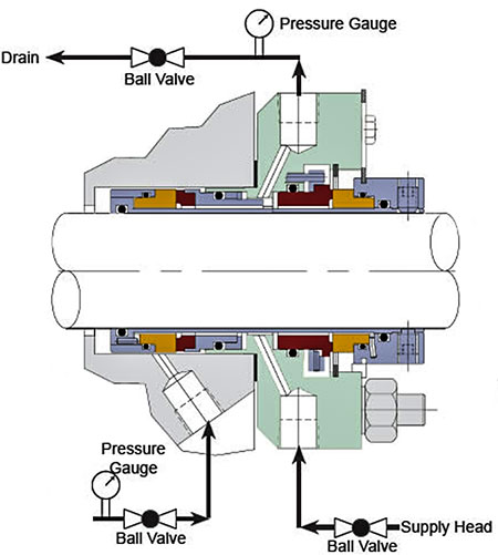 double seal arrangement