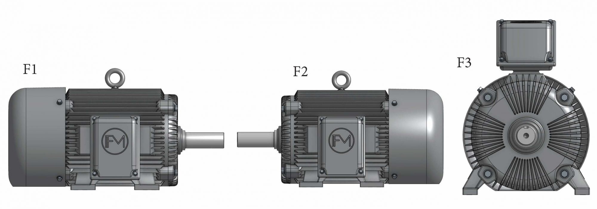 Typical F1, F2 and F3 motor arrangements