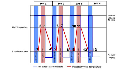 IMAGE 3: Spiral wound gasket test pressure and temperature profile