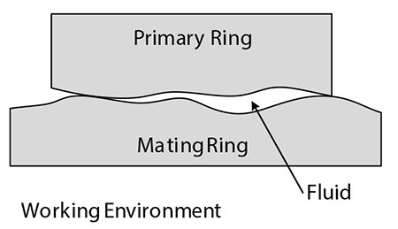 mating ring.