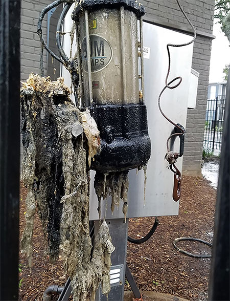 IMAGE 3: Blocked impeller from rags and debris that needs a pump clean
