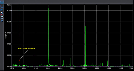 IMAGE 2: 1X peak with harmonics