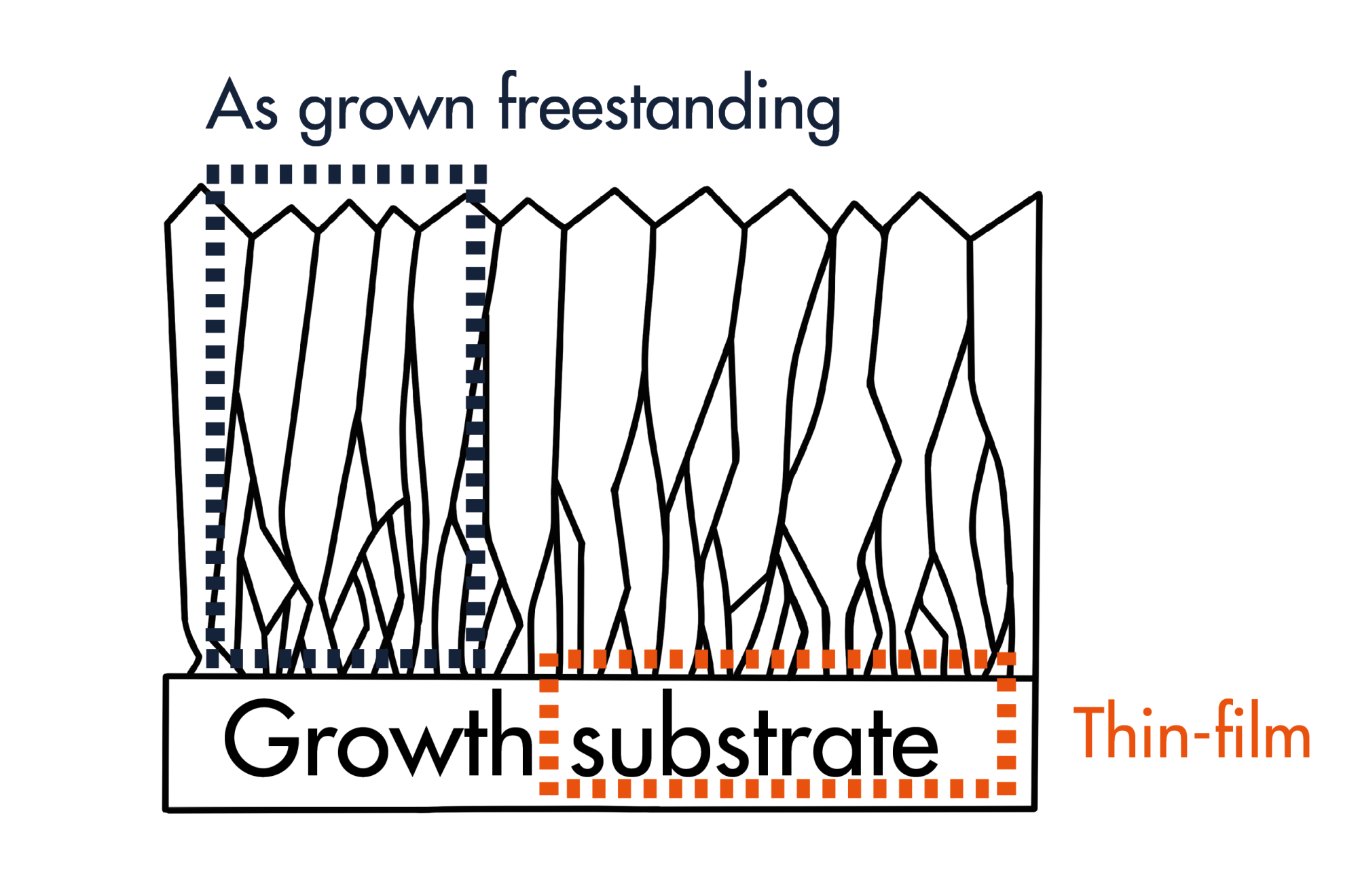 IMAGE 2: Thin-film BDD is a thin layer of BDD, normally < 20 microns thick, attached to a substrate. Free-standing BDD, normally > 300 microns thick, is separated from the substrate after growth. Free-standing BDD can either be used as grown or polished on one or both sides.