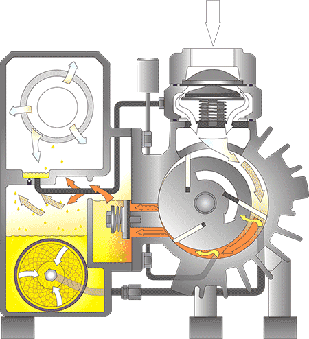 IMAGE 1: Oil rotary vane - inlet view (Images courtesy of Anderson Process)