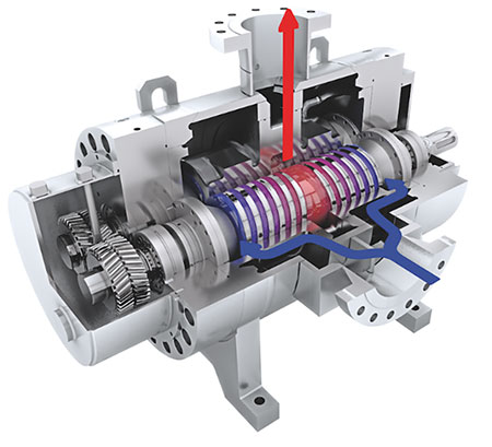 IMAGE 4: Twin-screw pump cross section