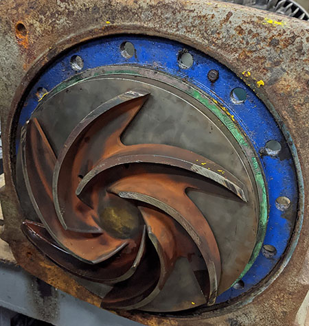 Damaged centrifugal pump impeller vanes 