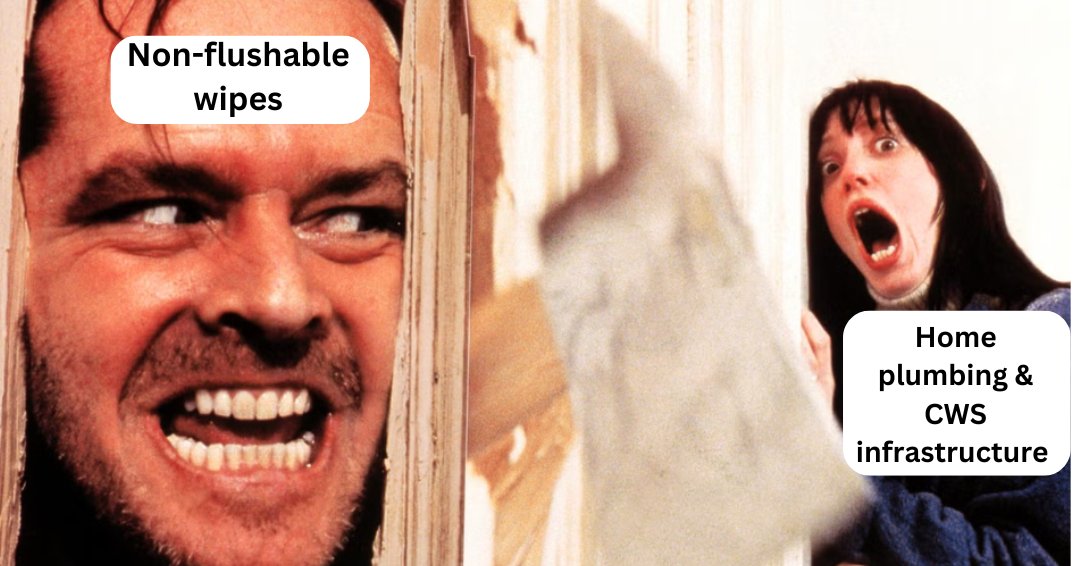 A still from The Shining showing Jack axing through the wall (nonflushable wipes) and Wendy looking scared (home plumbing and CWS infrastructure)