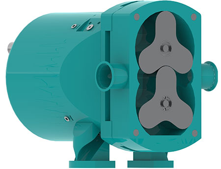 IMAGE 2: Rotary lobe pump
