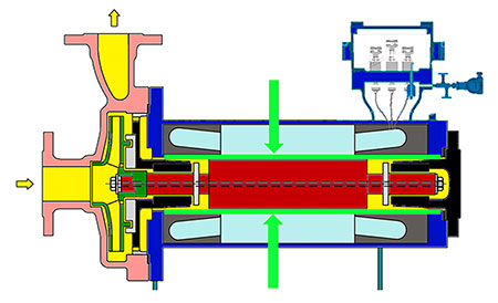 IMAGE 2: Canned motor pump cross section, stator can highlighted in green
