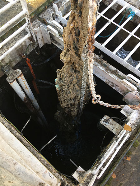 IMAGE 2: Pump removal during emergency maintenance caused by “flushable” wipes, ragging and buildup