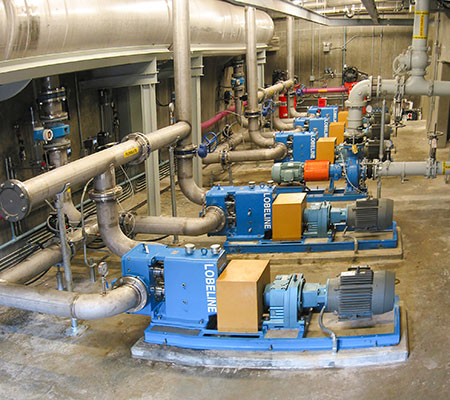 IMAGE 2: Inline rotary lobe pump package including pump, gear reducer and motor with stainless steel piping (for membrane application)