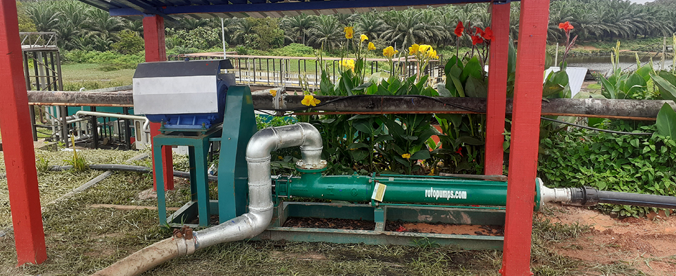 IMAGE 1: The impact of the progressive cavity pump installation was both immediate and far-reaching. What began as an effort to eliminate frequent breakdowns quickly evolved into a strategic upgrade that transformed the mill’s POME handling operations. (Images courtesy of Roto Pumps)