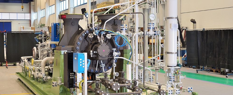 IMAGE 2: An API 610 BB2 pump skid similar to ITER’s—final assembly
