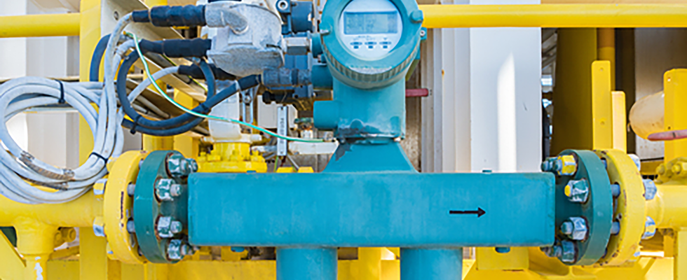 IMAGE 3: Coriolis flow meter
