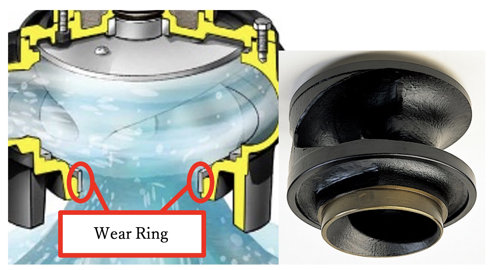 Image 2: Single-vane non-clog impeller and wear ring