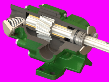 Helical gears in a rotary pump