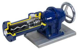 Cross section of a single rotor screw pump