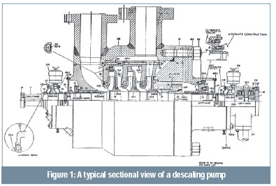 A typical sectional view of a descaling pump