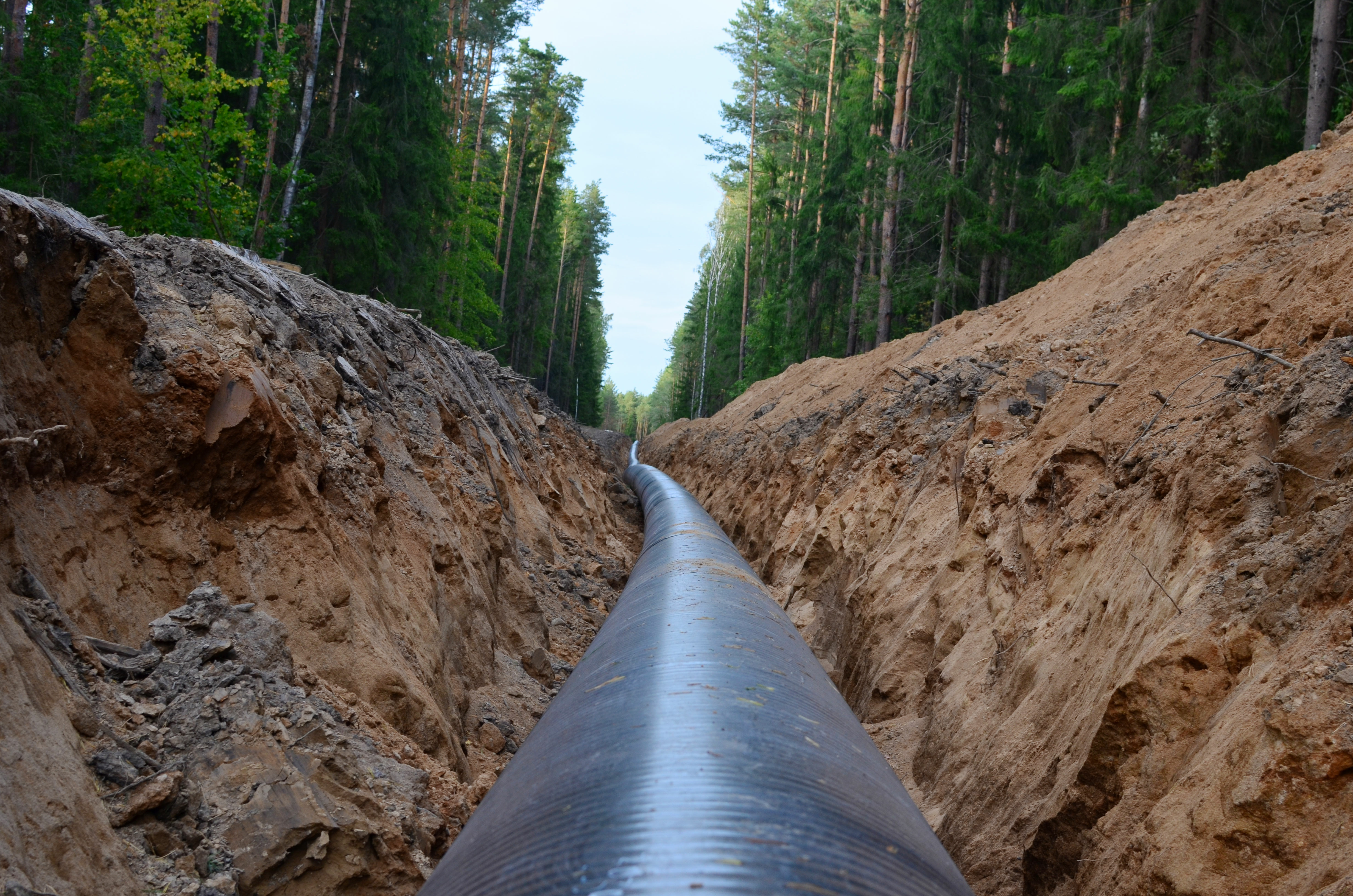 natural gas pipeline going through forest setting