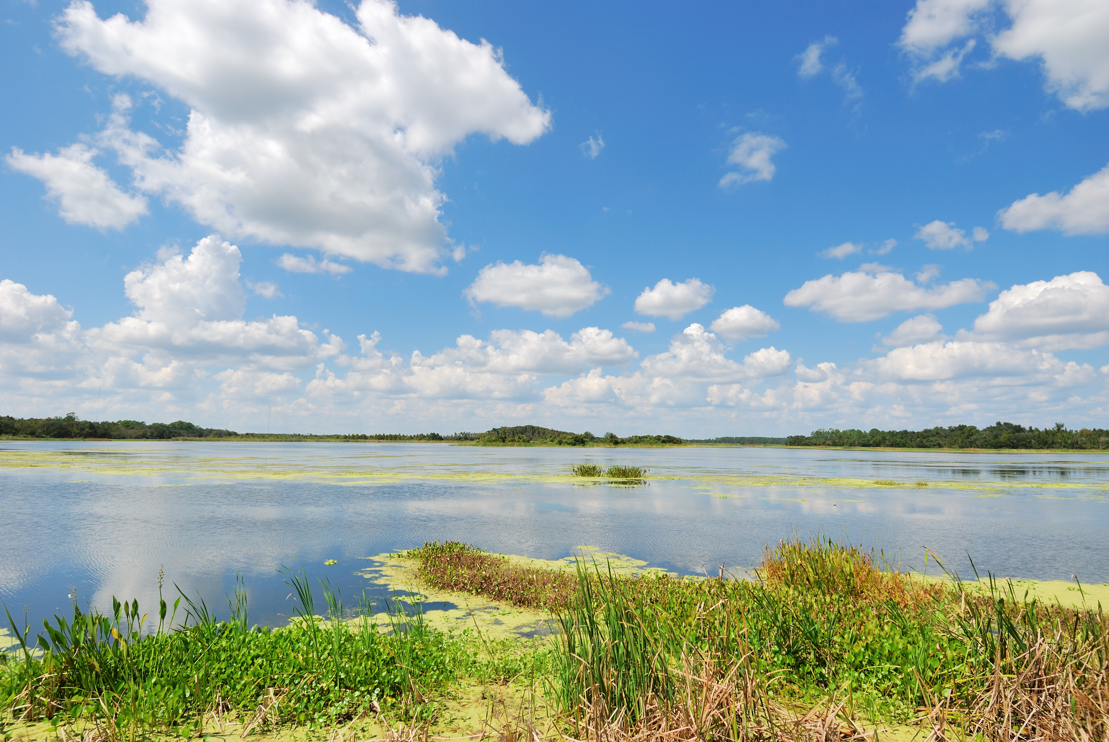 orlando wetlands