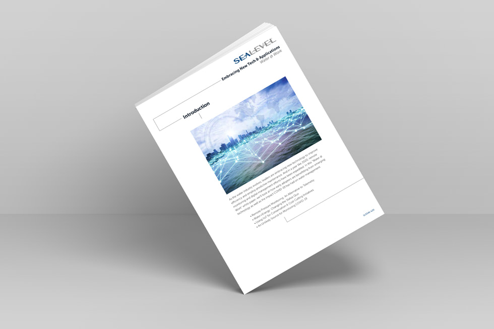 SeaLevel White Paper Image