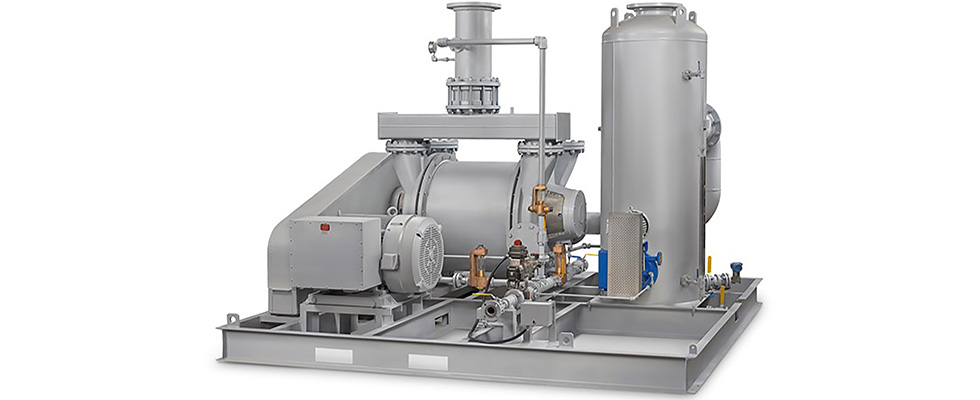 vacuum pump system