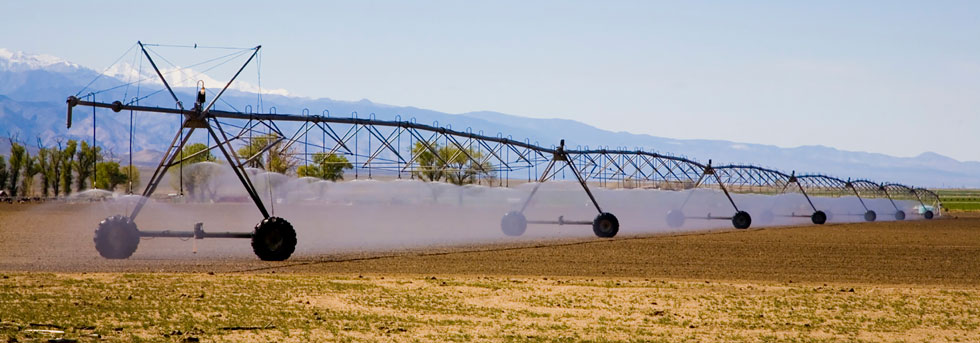 irrigation