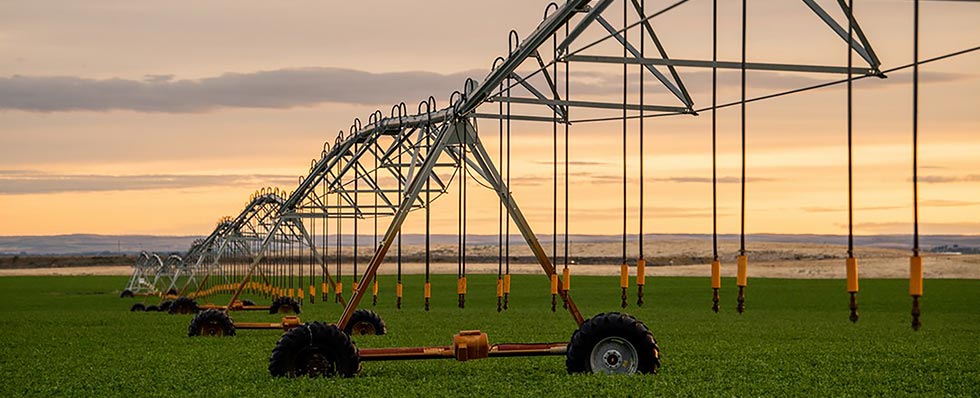 irrigation system