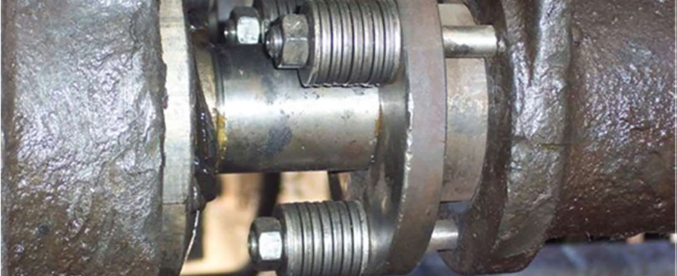 Gland nuts