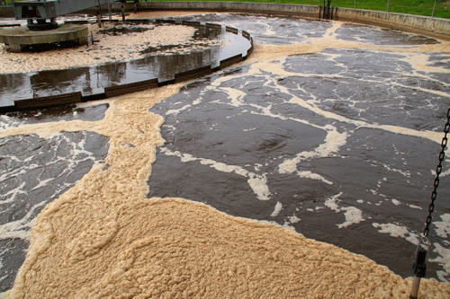 Activated sludge process at a wastewater treatment plant