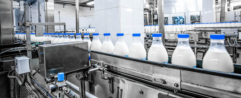 Dairy production at a processing plant