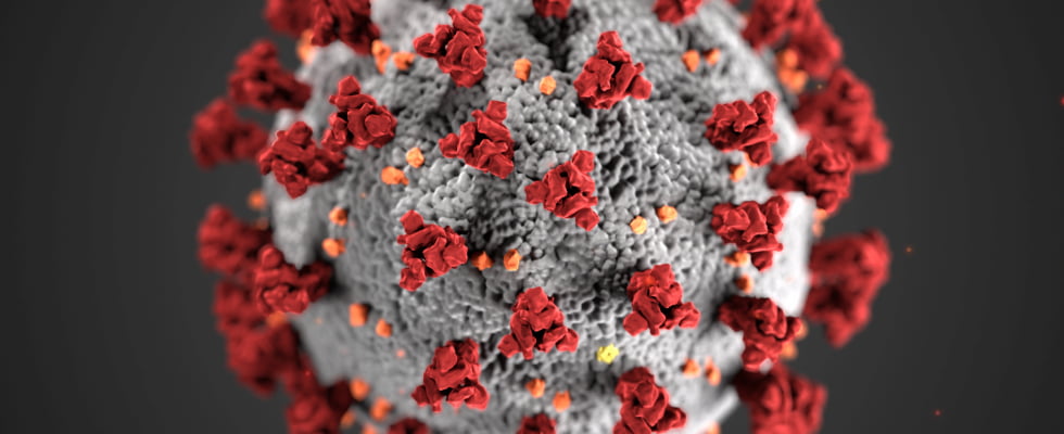 coronavirus bubble