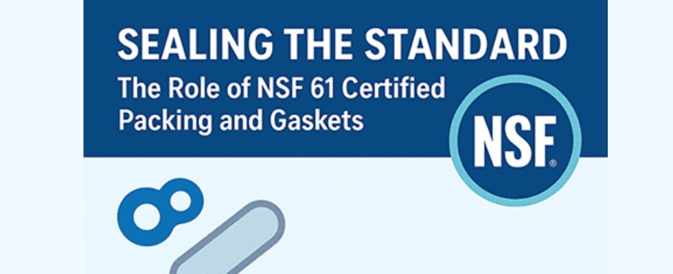 The Role of NSF 61-Certified Packing & Gaskets