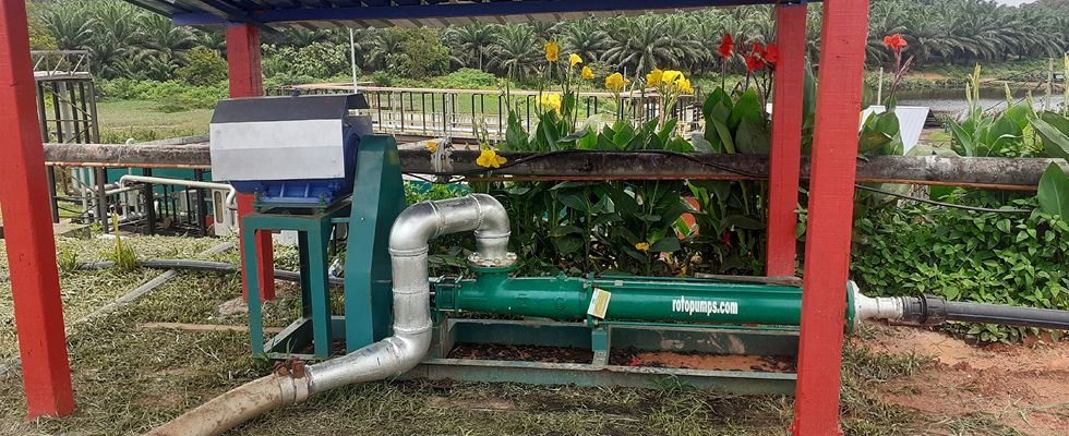 Addressing Effluent Transfer Problems With Progressive Cavity Pumps