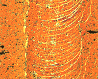 Critical load showing fracturing of un-coated SiC at 3200 MPa (460 ksi)