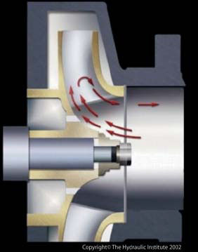 Impeller showing suction recirculation