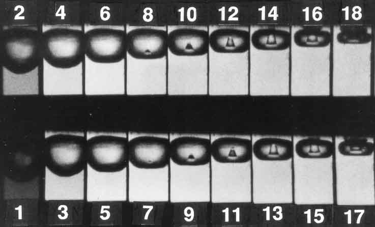 Cavitation and Bubble Dynamics